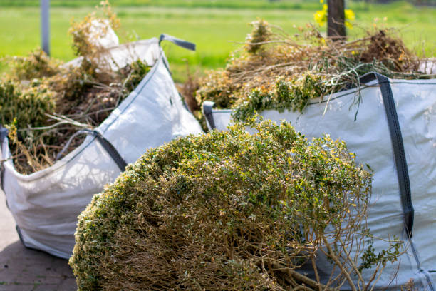 Shed Removal in Ashland City, TN