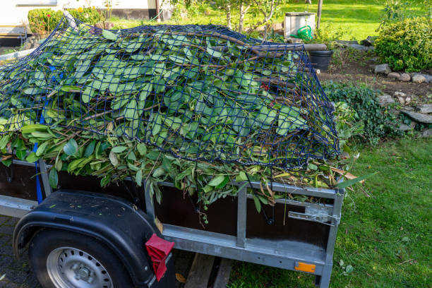 Best Carpet Removal and Disposal  in Ashland City, TN